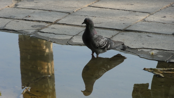 20100424 184501